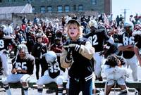 Кадр Дикие кошки