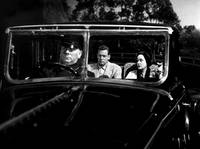 Кадр Сансет бульвар