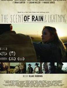 Запах дождя и молнии
