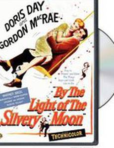 В свете серебристой луны