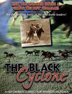 Black Cyclone