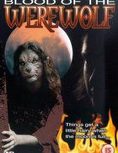 Blood of the Werewolf (видео)