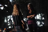 Кадр Тайный круг