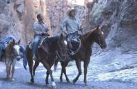 Кадр Три могилы