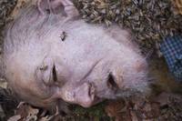 Кадр Ганнибал