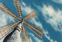 Кадр Виндария