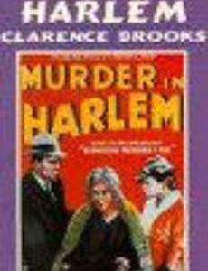 Murder in Harlem