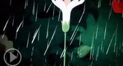 Мультфильм 