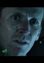 Дэвид Томпа фото