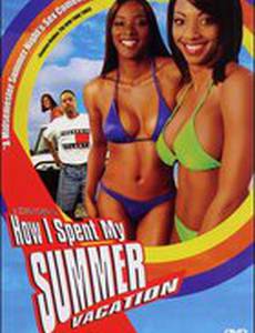 How I Spent My Summer Vacation