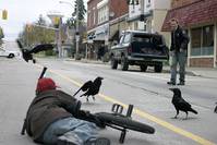 Кадр Воронье