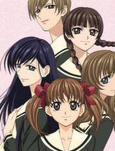 Дева Мария смотрит за вами