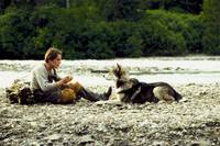 Кадр Белый клык