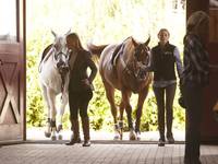 Кадр Тайные связи