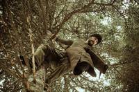 Кадр Брейвен (Дикий)