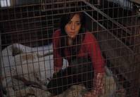 Кадр Последователи