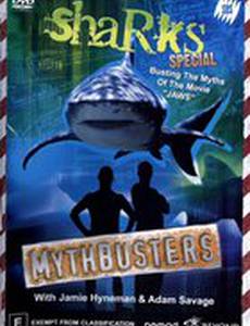 Разрушители легенд: Челюсти