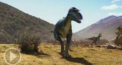 ТВ-ролик №8