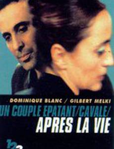 После жизни