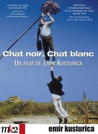 Постер Черная кошка, белый кот