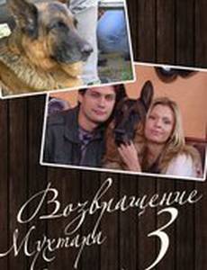 Возвращение Мухтара 3