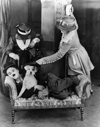 Кадр Собачья жизнь