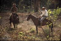 Кадр The Bridge in the Jungle