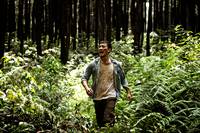 Кадр Аномальный вид