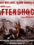 Постер из фильма "Афтершок" - 1