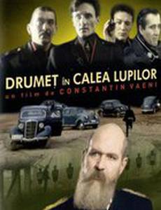 Drumet în calea lupilor