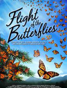 Полет бабочек