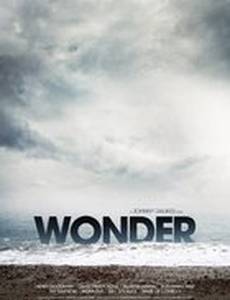 Wonder