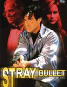 Блуждающая пуля