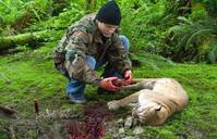 Кадр Пожиратель душ (видео)