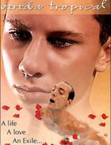 Тропическая дорожка