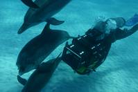 Кадр Большое путешествие вглубь океанов 3D