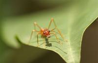 Кадр Осажденная крепость