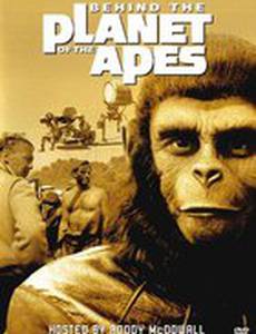 По ту сторону планеты обезьян