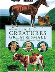 Все существа, большие и малые