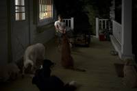 Кадр Ганнибал