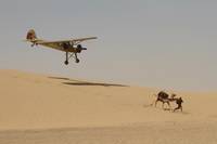 Кадр Черное золото