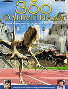 BBC: Зоо олимпиада