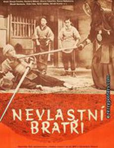 Сводные братья