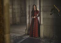 Кадр Царство