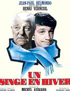 Обезьяна зимой