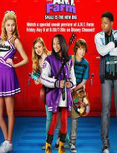 Академия новых талантов