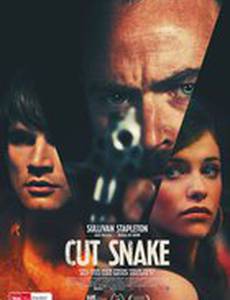 Раненый змей