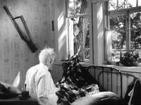 Кадр Тимур и его команда