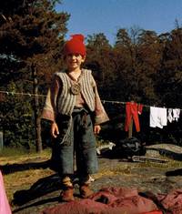 Кадр Крошка Нильс Карлсон