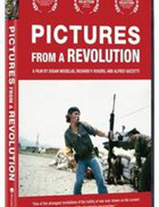 Pictures from a Revolution